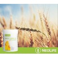 Wheat Germ Oil / Kviečių gemalų aliejus su vitaminu E NeoLife maisto papildas  (100 kapsulių)